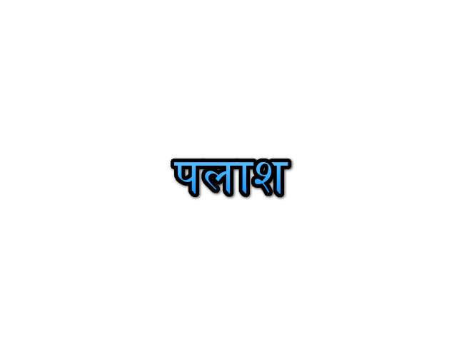 Palash Name